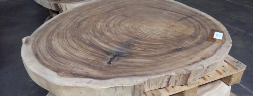 boomstamtafel boomstamtafel